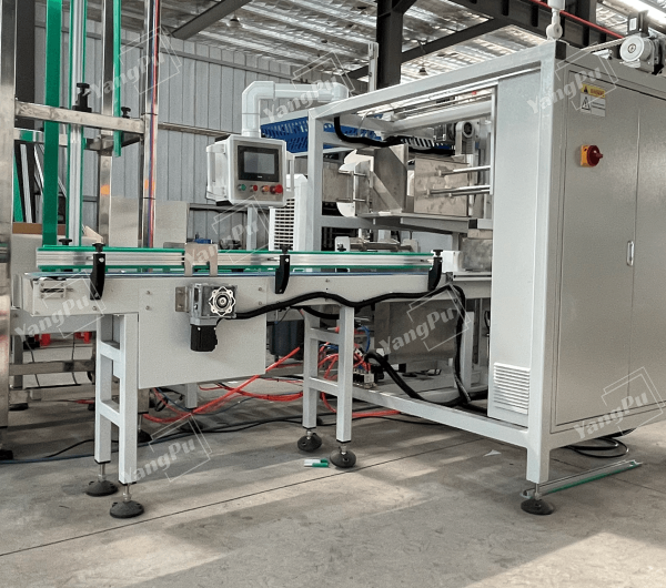 Yangpu Side-push Case Packer YPZX-S01
