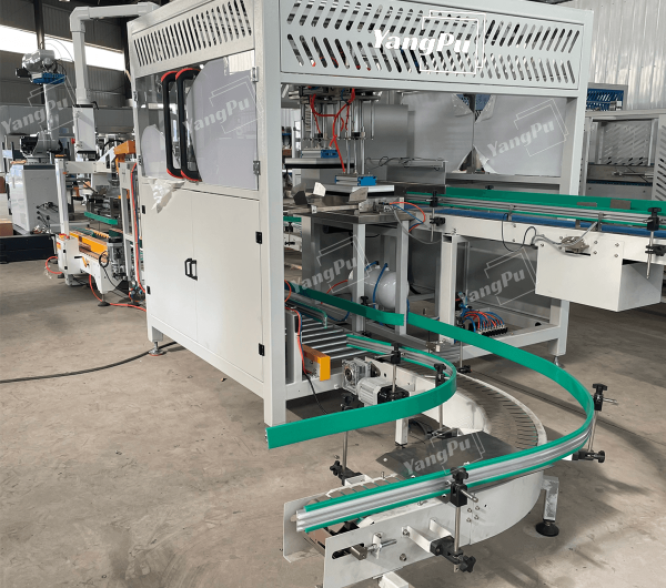 Yangpu Pick and Place Case Packer Machine YPZX-G01