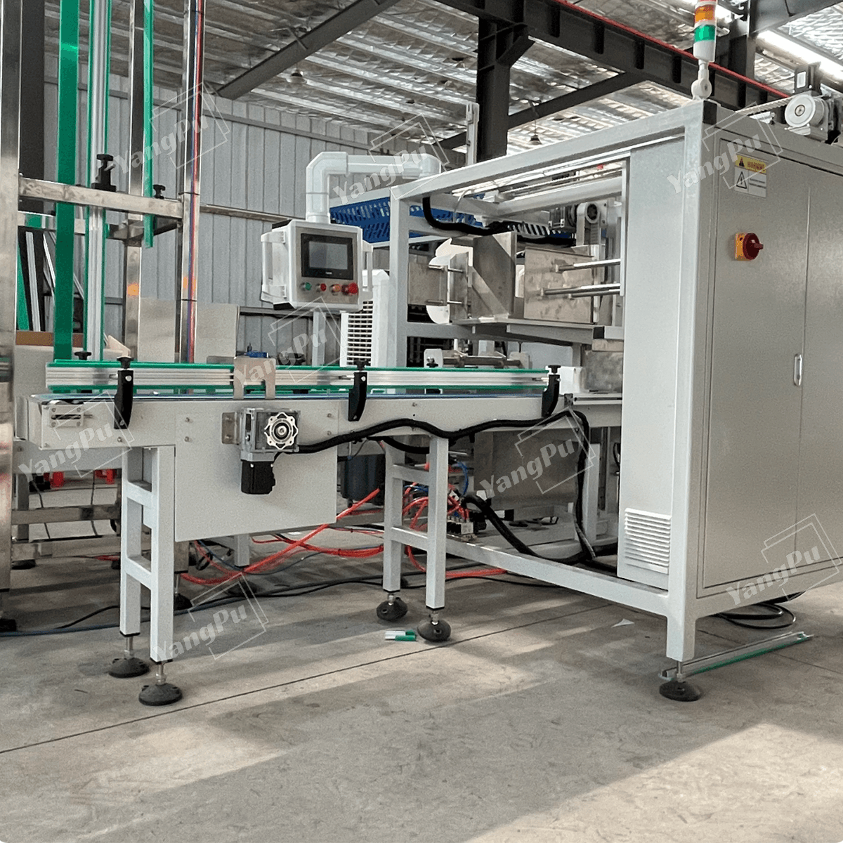 Yangpu Side-push Case Packer YPZX-S01