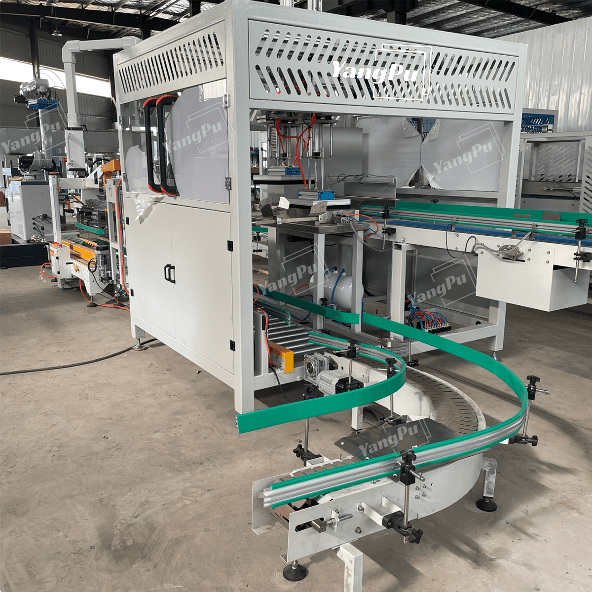 Yangpu Pick and Place Case Packer Machine YPZX-G01