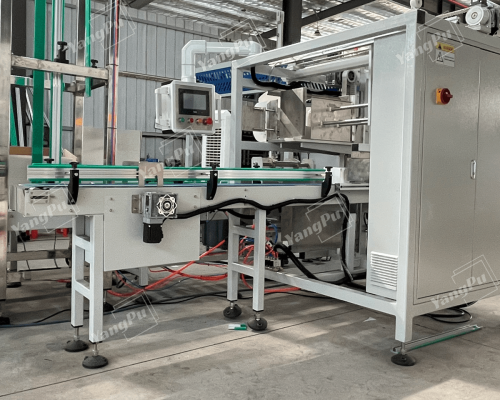 Yangpu Side-push Case Packer YPZX-S01