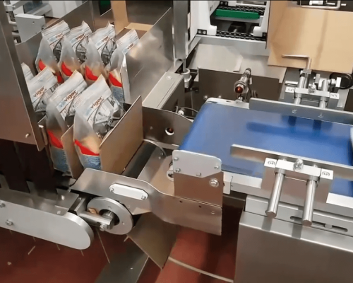 Yangpu Side-push Case Packer for Bags Packing