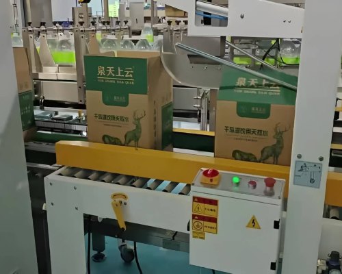 Yangpu Automatic Folding & Sealing Machine